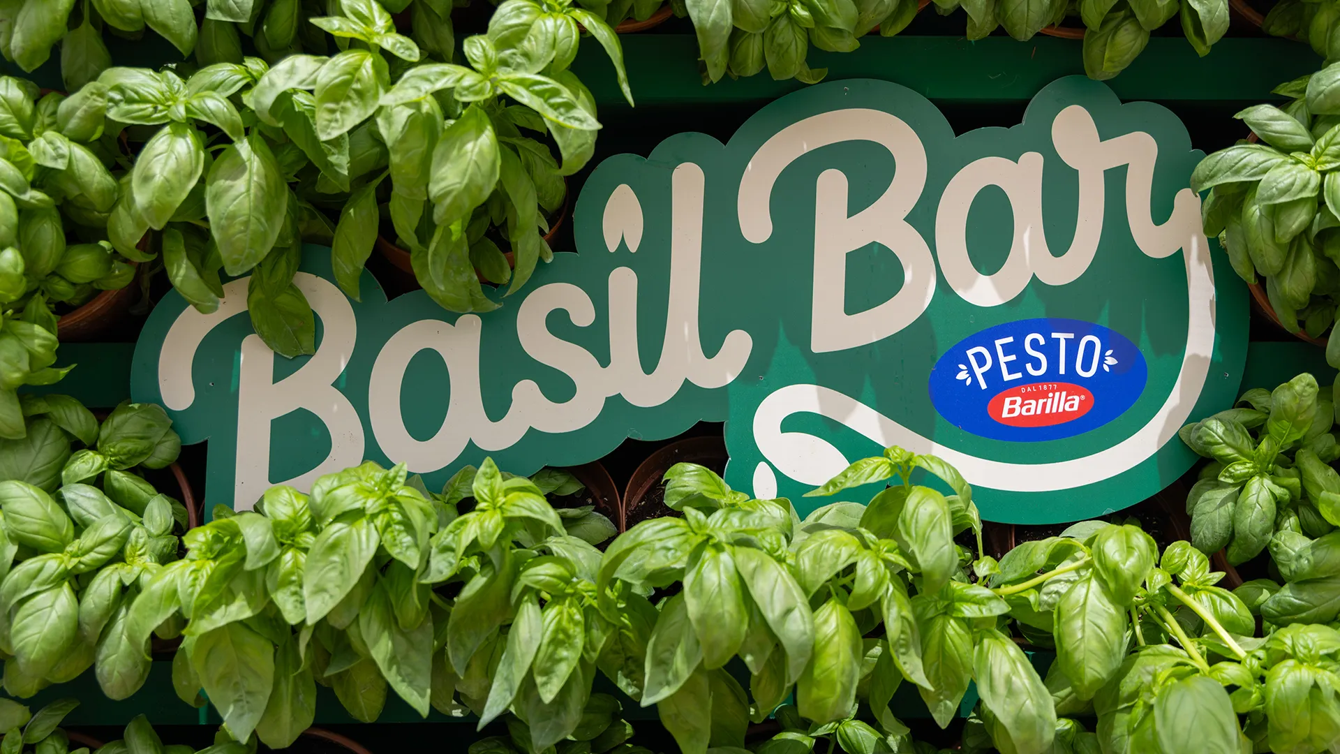 Basil Bar - Barilla Pesto (01)