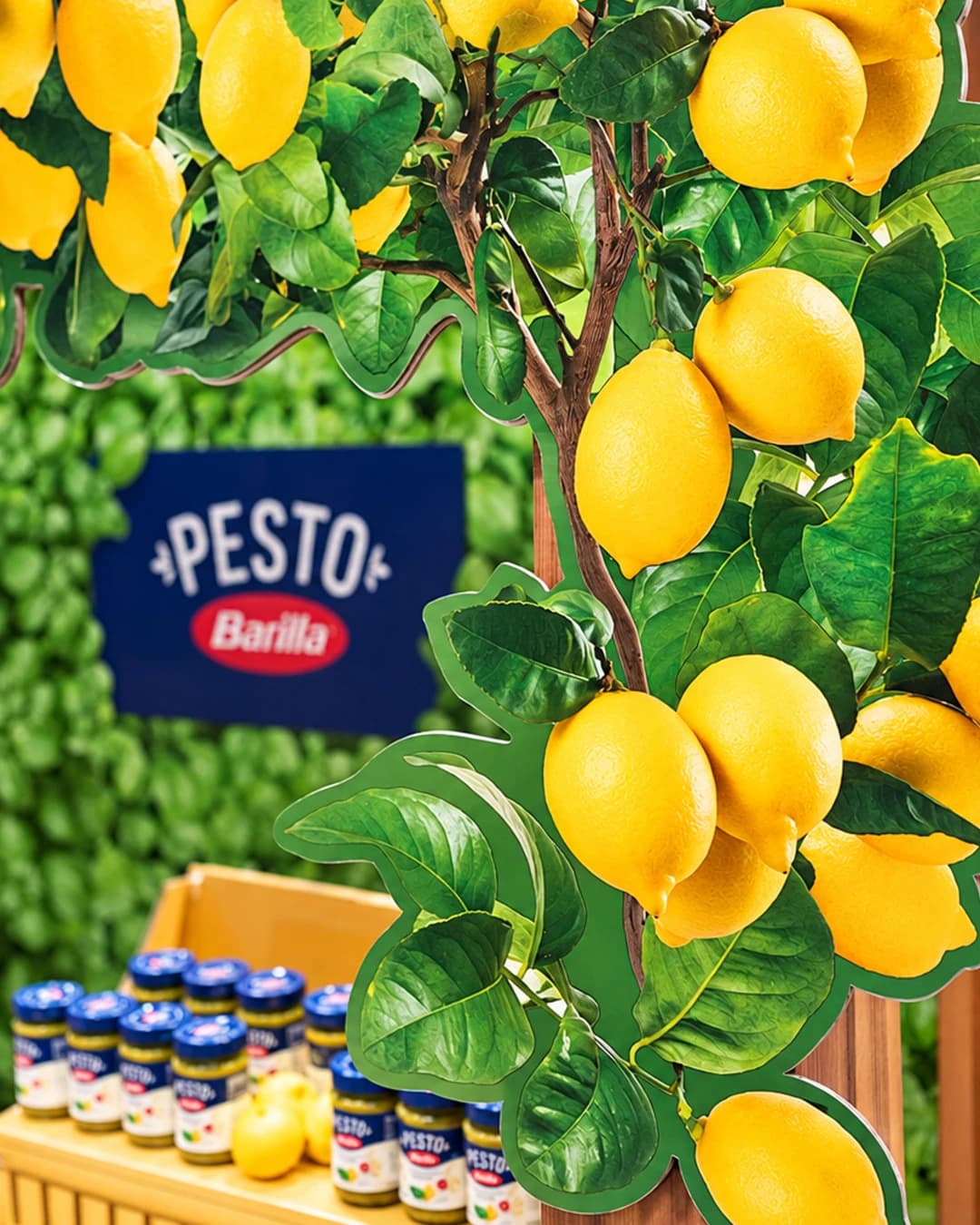Limonaia Urbana - Pesto Barilla (05a)