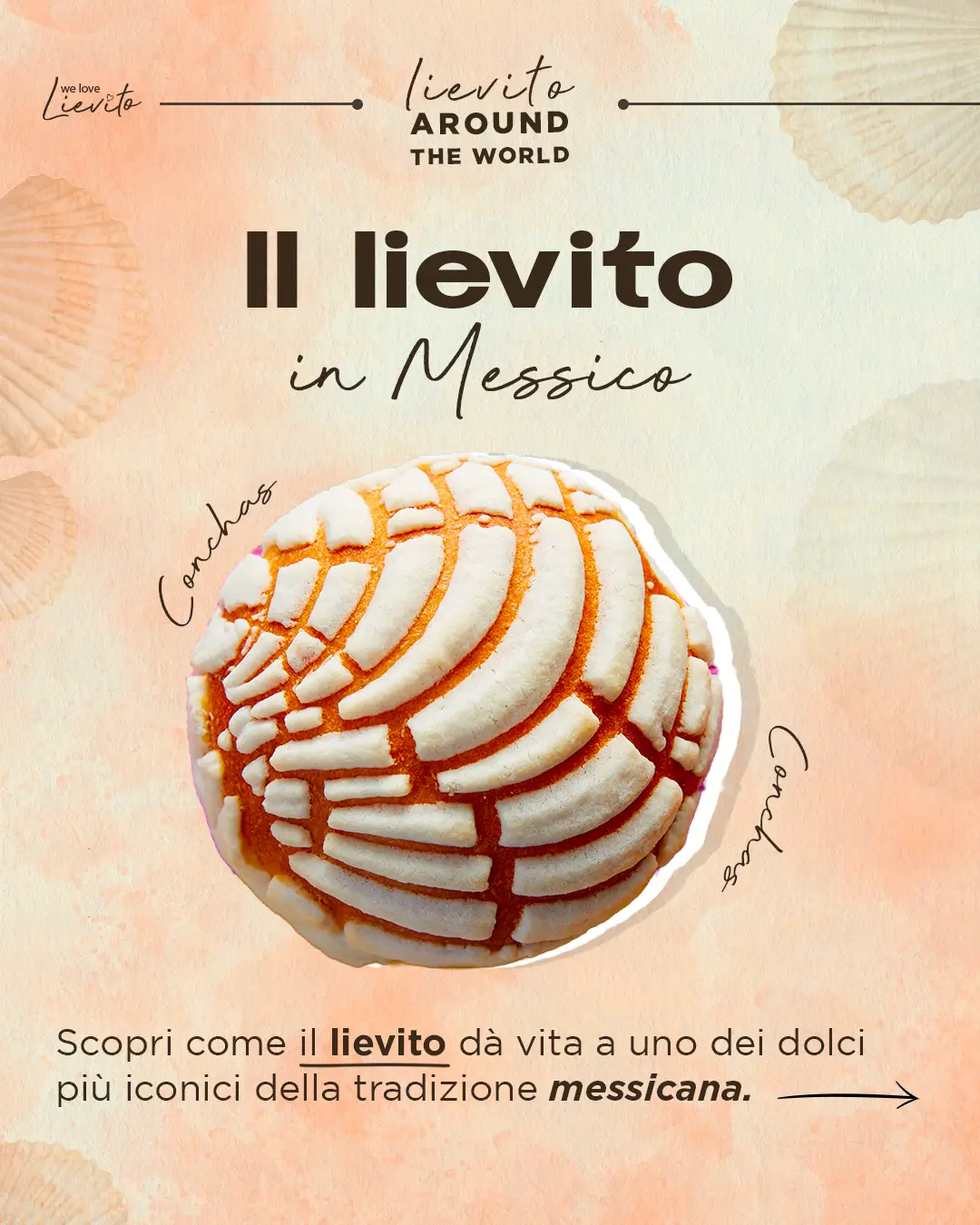 #WeLoveLievito - Assitol (02b)