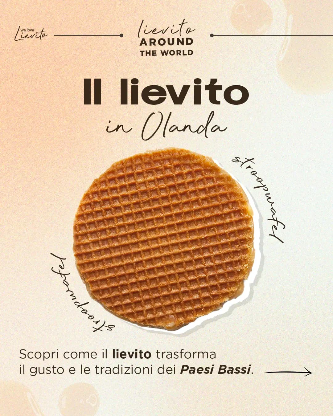 #WeLoveLievito - Assitol (02c)
