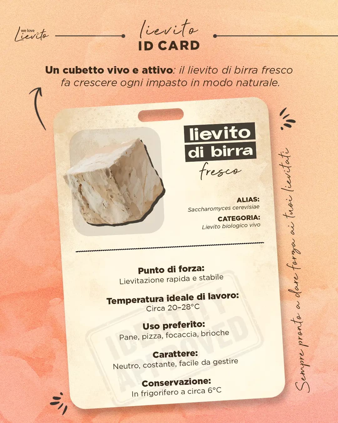 #WeLoveLievito - Assitol (01a)