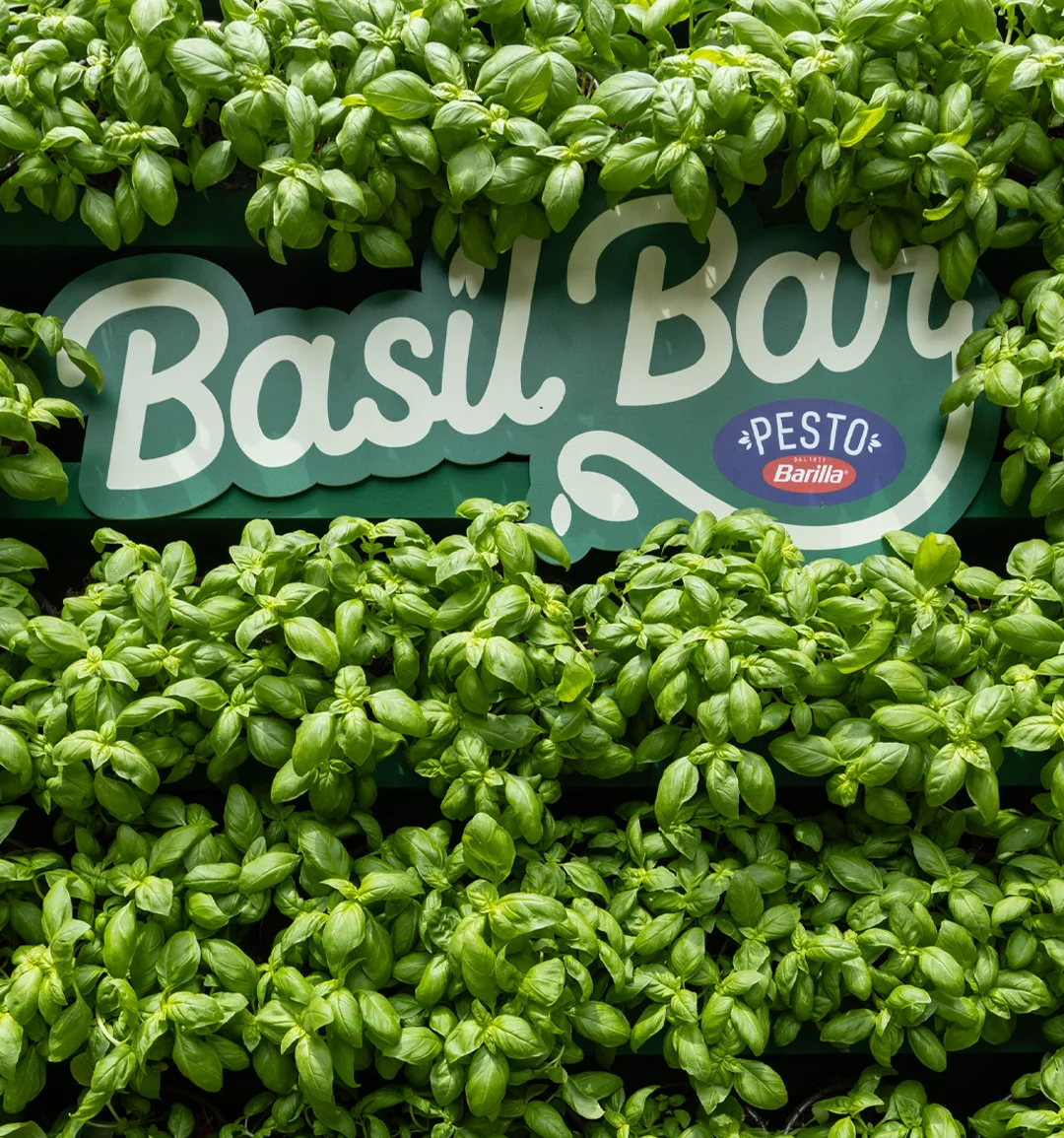 Basil Bar - Barilla Pesto (desktop)